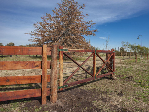 Imagen 4 de 12 de Chacra 1 Ha. - Las Juntas - San Antonio De Areco