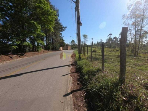 Imagem 2 de 7 de Área No Taboão - Bitr00044
