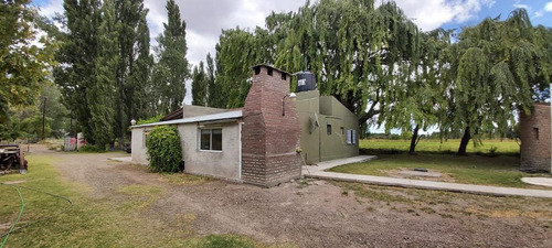 Imagen 24 de 25 de Venta Chacra Casa 2 Dormitorios Galpón - Picun Leufú Neuquén
