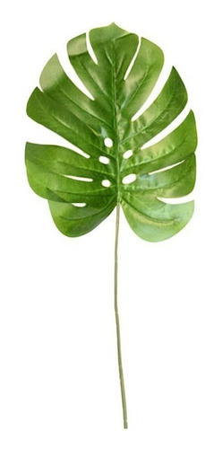 Planta Artificial Hoja Costilla De Adan Deco Interiores 61cm Color Costilla De Adán Clara