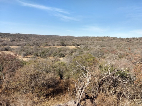 Imagen 11 de 17 de Campo De 100 Hectareas Con Casa En Tulumba, Provincia De Cordoba