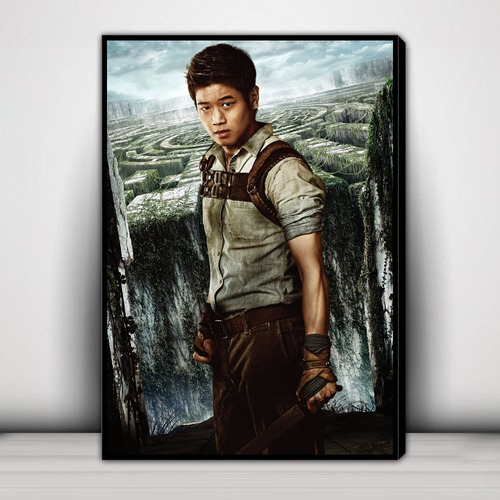 Cuadro Decorativo The Maze Runner Corredor Laberintos C4236