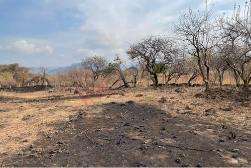 Venta De Terreno En Amatlán, Tepoztlán