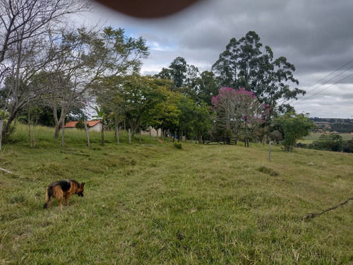 Imagem 16 de 30 de Chácara 4,5 Alqueires Casa Simples E Boa,poço Caipira Agua Cristalina,corrego No Fundo,fácil Acesso 800mts Do Asfalto,ótimo Pasto,27 Kms Itapetininga - Ch00081 - 69505662