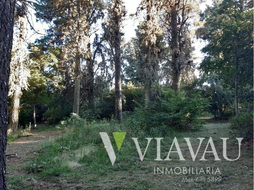 Imagen 7 de 7 de Terreno En Villa Berna 2has - Calamuchita