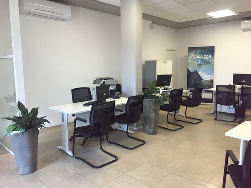 Imagen 8 de 13 de Excelente Local Con Excelente Renta, Facilidades