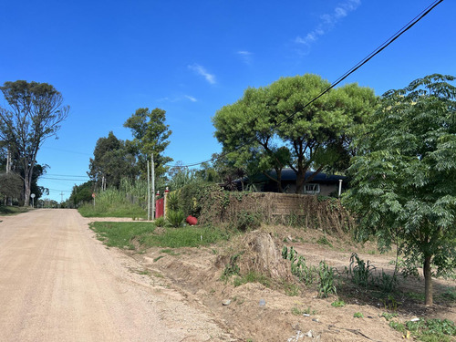 Terreno En El Tesoro