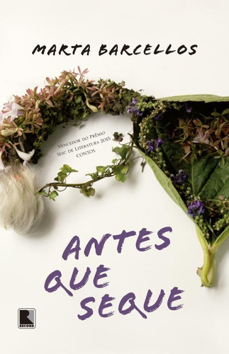 Antes que seque, de Marta Barcellos. Editora Record Ltda., capa mole em português, 2015