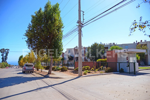 Departamento En Condominio Regata