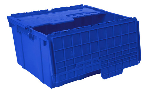Caja Bisagras 60-50 Con Tapa Azul