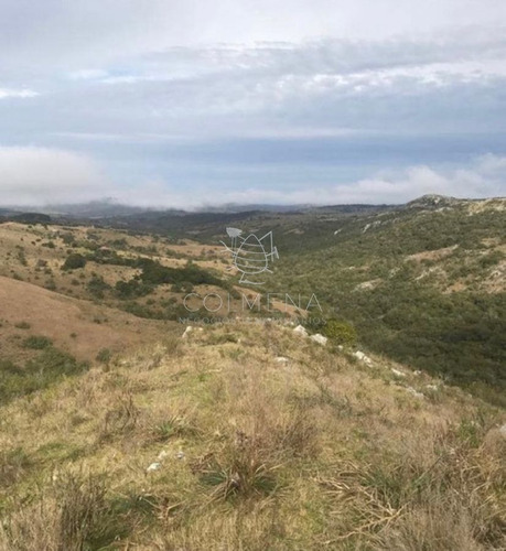 Imagen 9 de 10 de Chacras De 5 Y 7 Has En Zanja Del Tigre - Entrega Y Cuotas - Consulte!!!!!!!! - Zona Rural Zona Rural