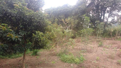 Chácara Carvalhos , Perto Bairro Franceses , Lugar De Muitas Cachoeiras - 456