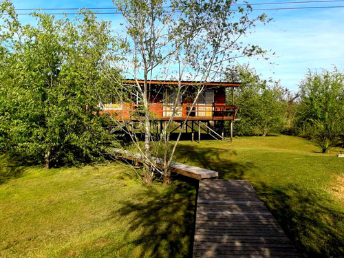 Imagen 8 de 14 de Casa / Cabaña En La Isla Para 2 Personas. Delta De Tigre