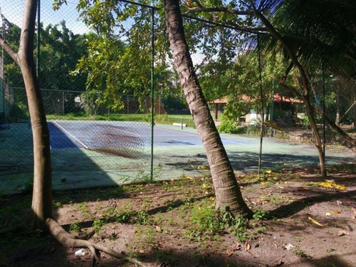 Imagem 8 de 14 de Terreno - Lri1135 - 32804973