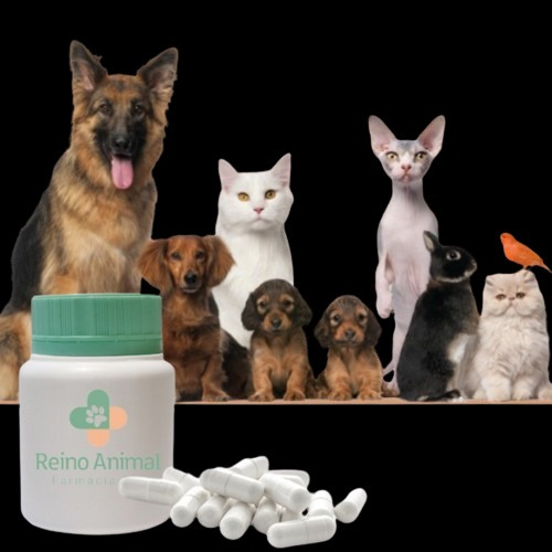 Pimobendan 1,5mg C/120 Mini Capsulas - Uso Veterinario