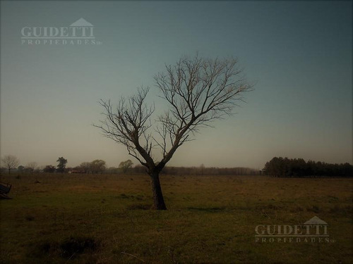 Imagen 8 de 13 de Venta De Campo De 28,6 Has Ubicado Entre Campana Y Capilla Del Señor