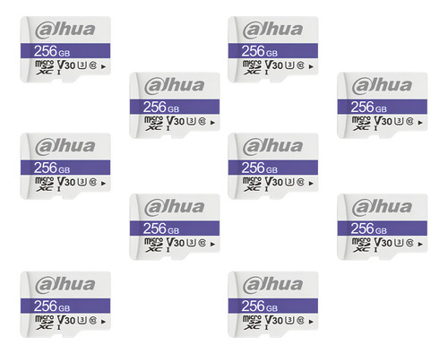 Dahua Kit De 10 Memorias Microsd Tf-c100/256gb Lectura De Hasta 90 Mb/s Escritura De Hasta 95 Mb/s Resistente A Altas Y Bajas Temperaturas Impermeable Antimagnética Y Anti Rayos X