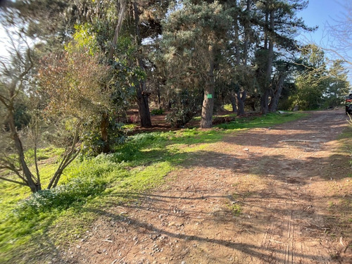 Terreno A Tres Cuadras De Gastón Hamel