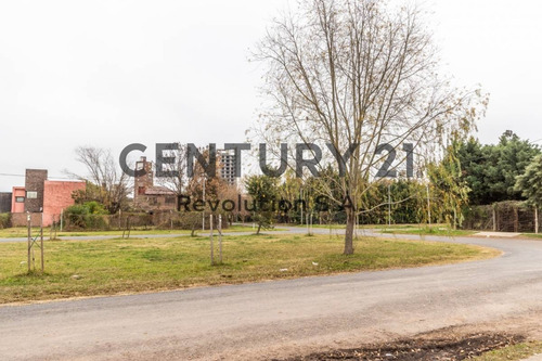 Imagen 7 de 11 de Lote En Venta - Saavedra 2400 - Frente Al Rio