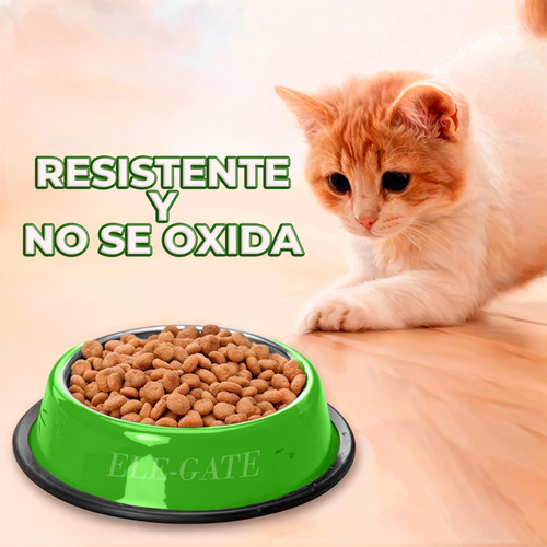 Tazón Plato Mascotas Acero Inoxidable Antiderrapante Tamaño S Color Verde