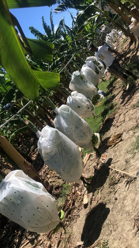 Terreno En Santiago Cienfuegos