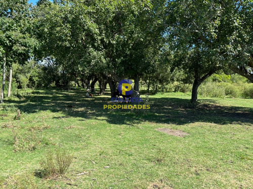 14 Hectáreas En Canelones