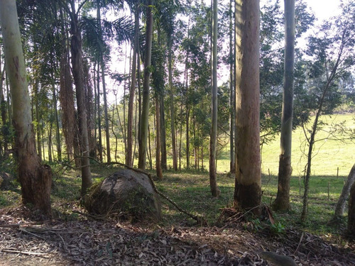 Imagem 10 de 12 de Terreno Rural 10 Hectares Entre Grão Pará E Braço Do Norte