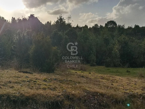 Parcela De 5000 M2, En Condominio, Con Acceso Controlado