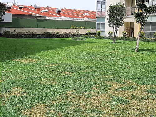 Imagen 6 de 21 de Departamento Be Grand Coyoacán