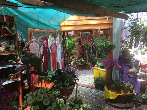 Imagen 3 de 30 de Casa + Vivero En Balneario Argentino
