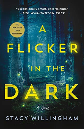 Flicker In The Dark (libro En Inglés)