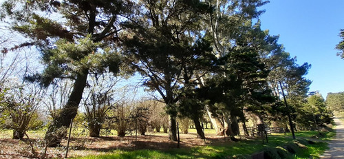 Fraccion De 8.1000 M² Parquizada Y Forestada