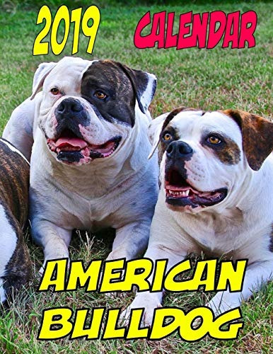 2019 Calendar American Bulldog Dog Weekly Calendar, Personal