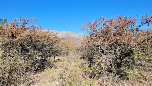 Imagen 16 de 18 de Lote En Los Hornillos Bv. Los Olivares Escrituracion Futura