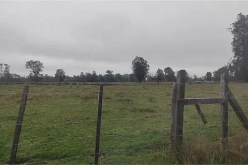Su Parcela De Descanso A 30 Min Del Lago Ranco