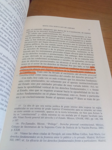 Hacia Una Nueva Ley De Amparo - Arturo Zaldívar Lelo (Usado)