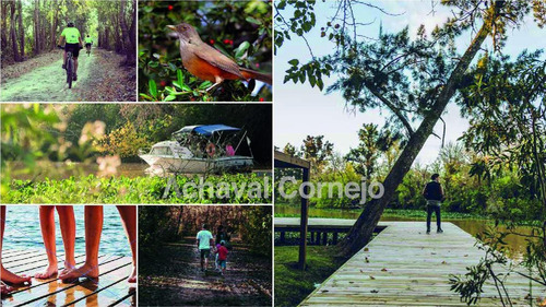 Imagen 20 de 20 de Puertos Escobar - Nativas - Nuevo Lanzamiento ! Lote Interno.