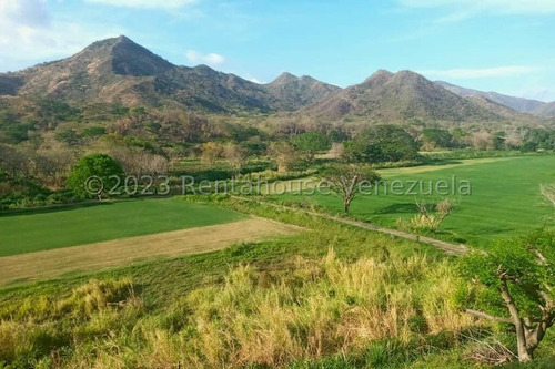 En Guarico Carretera A San Juan De Los Morros , Espectacular Hacienda De 88 Has, 20 De Ellas Vegas A Orillas Del Río Guárico,mls#24-637