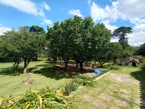 Casa Vendo Villa Giardino 4 Dor 7180 M2 Terreno