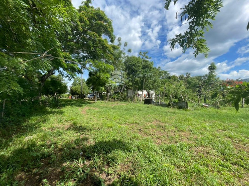 Imagen 4 de 17 de Finca En Venta Ubicada En San Jose De Sanare Estado Falcon.
