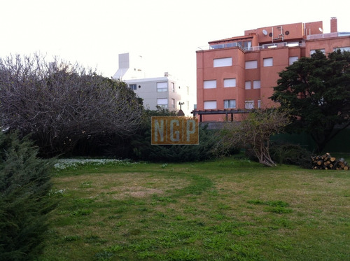 Imagen 9 de 12 de Chalet En La Peninsula Con Terreno De 1605 Mts2.