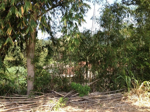 Imagem 13 de 30 de Terreno Botujuru Mogi Das Cruzes Sp Brasil - 87