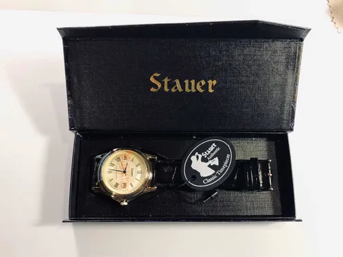 Stauer metropolitan deals watch