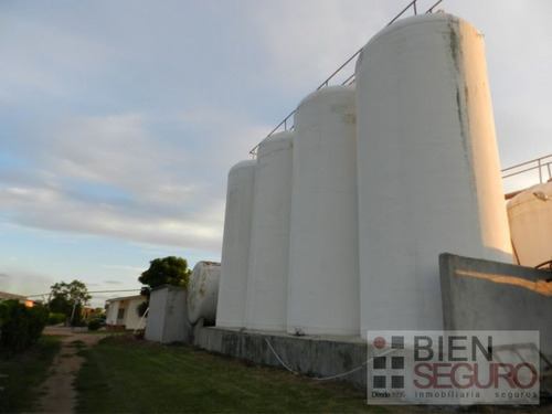 Chacra De 11 Hás, Con Bodega Y Viñedos, En Venta Próximo A Toledo