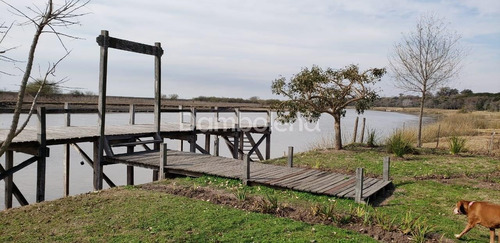 Imagen 11 de 30 de Terreno Campo En Venta O Permuta Ubicado En Baradero, Resto De La Provincia, Buenos Aires
