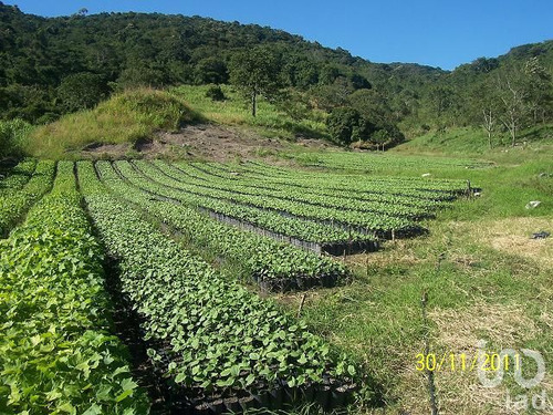 Venta Terreno 2 Ambientes Atoyac Centro