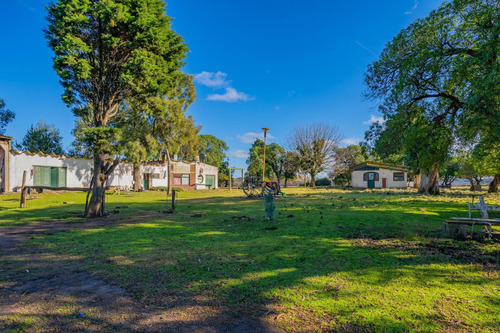 Venta - Chacra De 7 Hectareas - Batan