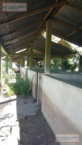 Venta - Chacra - Parada Robles