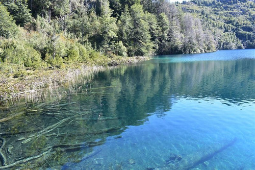 Sitio En Venta En Palena