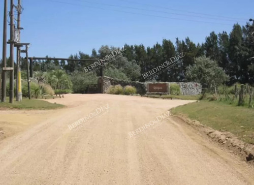 Chacra Campo En Venta Zona El Quijote La Barra